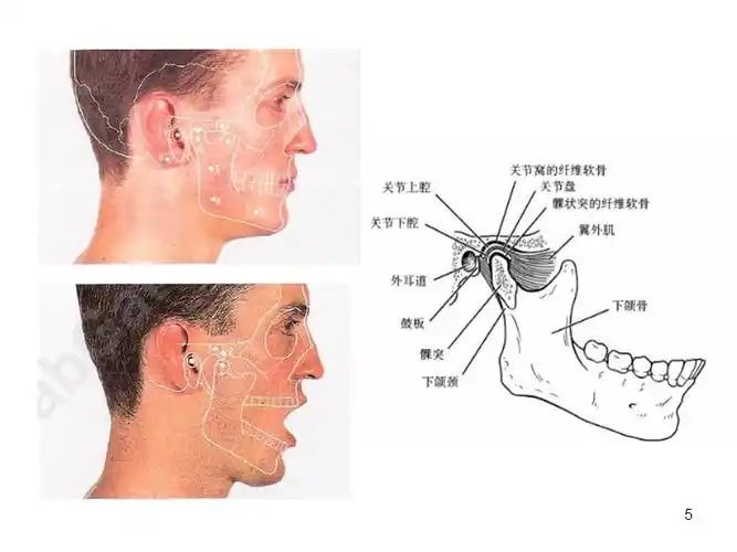 参考课件颞颌关节紊乱病的物理治疗ppt