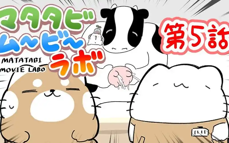 个人字幕日本沙雕猫长篇新番木天蓼影像实验室第5话からめる