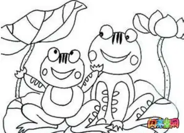 荷花青蛙池塘水蛛简笔画写一段话