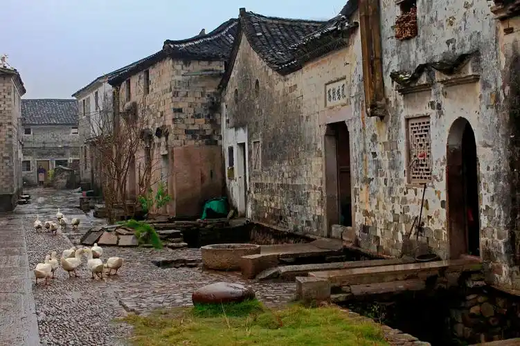 8.2-8.4玩转仙居最刺激的水线:丽人谷,探访高迁古民居