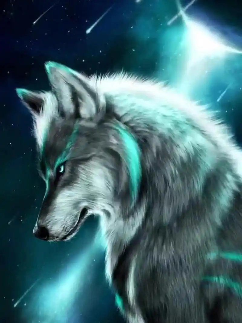 狼的图片 有和我一样喜欢狼的朋友嘛 这里有我最喜欢的几张狼的图片