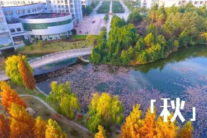 着生机与活力光谷腹地黄龙山南麓的工程大武汉工程大学看着情侣们你追