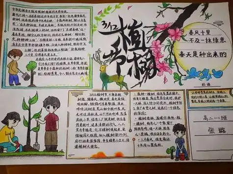 认领一棵树呵护一片绿手抄报手抄报模板大全