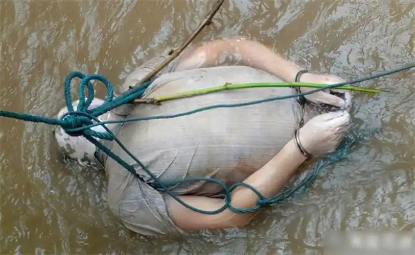 2011年湄公河惨案制造者糯康得知自己被判死刑后跪地忏悔