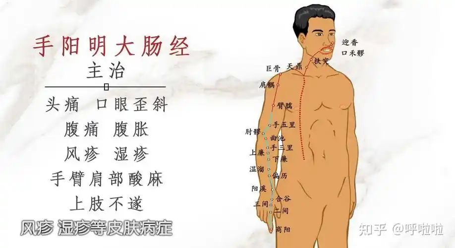 手太明大肠经养生