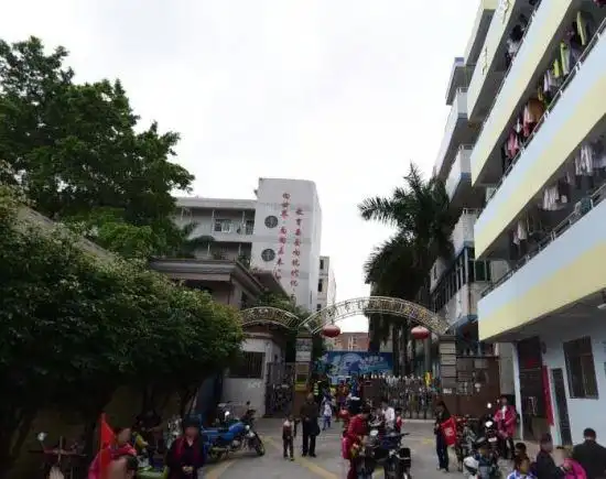 学校座落于龙华区大浪街道,是一所全日制民办小学,那么深圳龙华育英