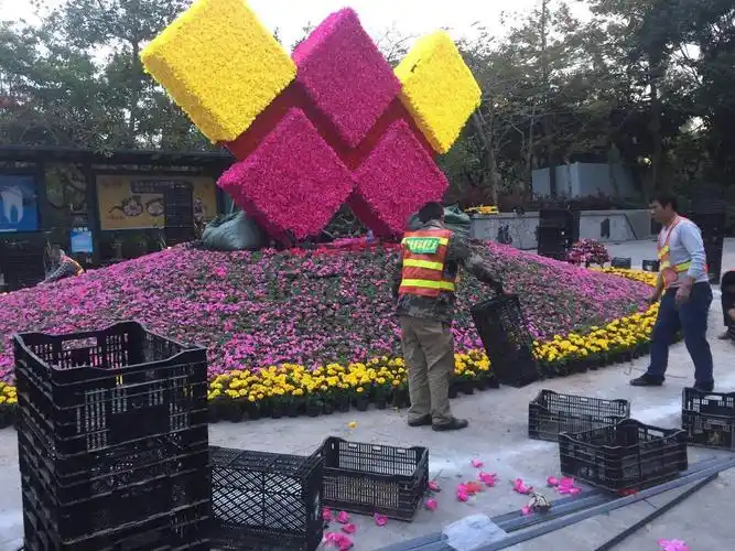 龙岗区中心城2018年元旦节日摆花