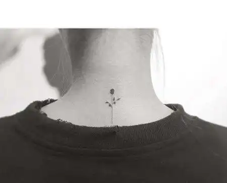 小清新后颈玫瑰纹身图案