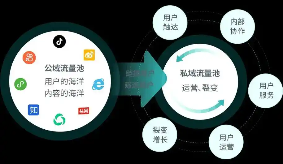 全域闭环营销链.你可否知道公域流量 - 抖音