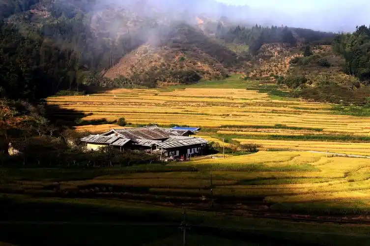 美丽乡村,金色碓头 - 美篇