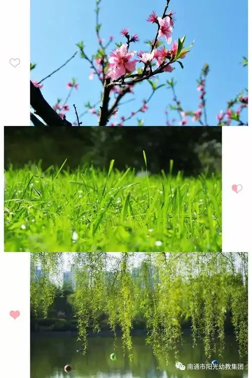 我心目中的春天 ——大四班班级特色报道