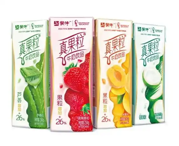 蒙牛真果粒牛奶饮品草莓芦荟椰果桃果
