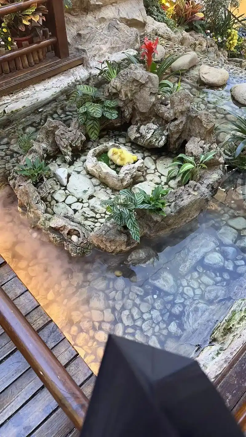 在商场的景观小水池里,围观的人稀奇开心.