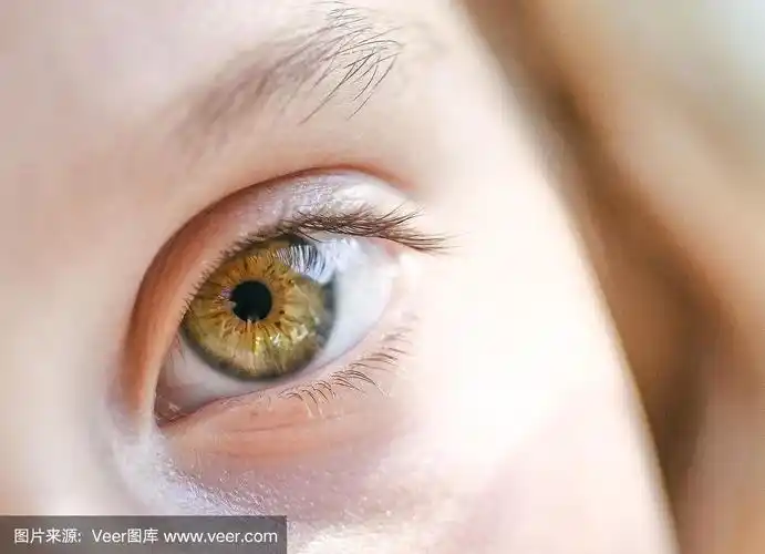 极近距离的黄色淡褐色眼睛的一个小女孩和视力