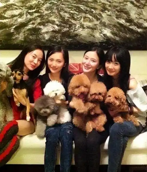 秦岚是大姐,霍思燕排第二,李小璐第三,熊乃瑾第四,甘薇是老五,肖雨雨