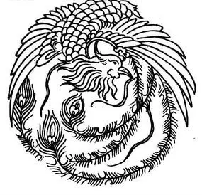 黑白线条画凤凰ai矢量文件