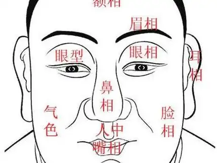 额头面相分析知识 从一个人的额头看命运 看相额头纹什么讲究