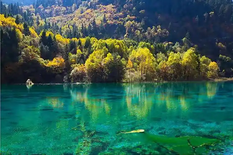 暑期旅游九寨沟黄龙三日游劲爆活动价580