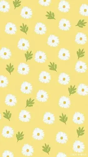 小雏菊壁纸