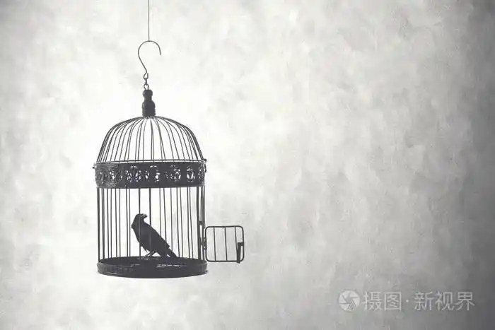 自由概念鸟在开放的笼子里