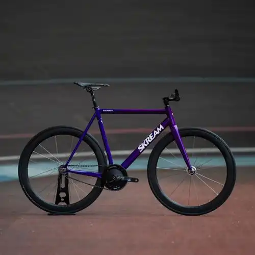 整车案例skreammagnum22