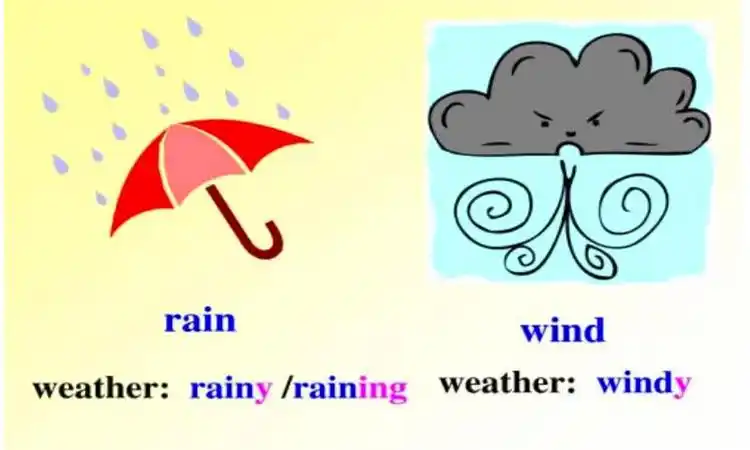 rainy是什么意思中文优质