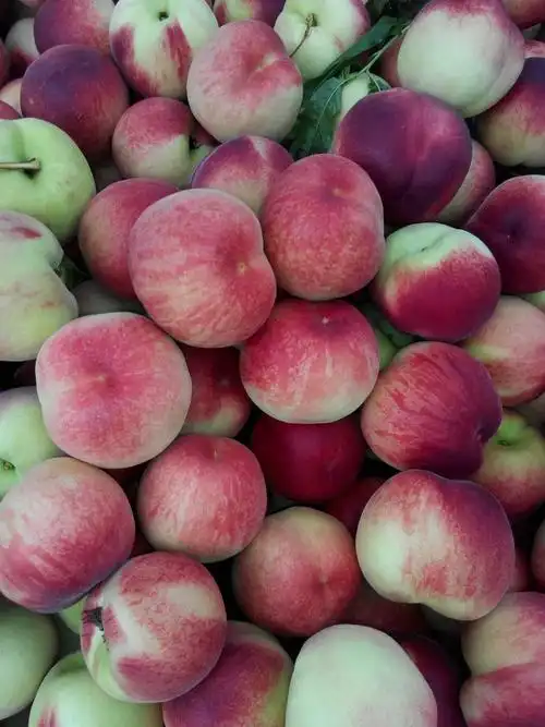 突围桃 65mm以上 3 - 4两