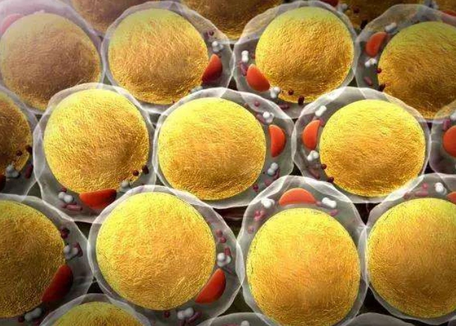 请问生活宝宝三个月怎么减肥,不想运动,还要喂奶,急