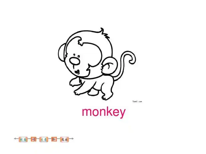 monkey 封面      退出
