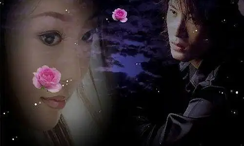 红尘有缘简谱_红尘情歌简谱