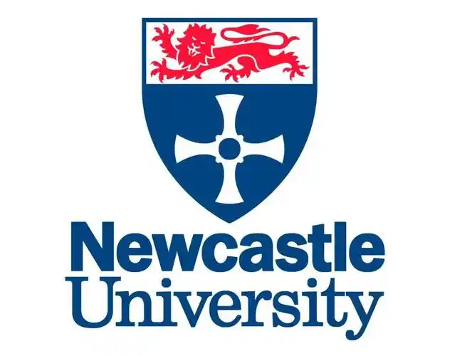 英国纽卡斯尔大学直升班