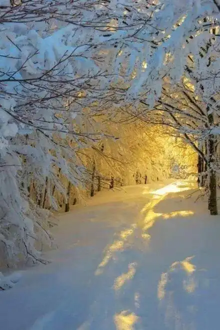 唯美雪景摄影:下雪了我们一起去看雪