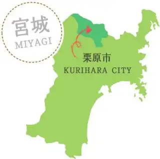 一则视频点火了日本宫城县栗原市艺人为家乡振兴操心