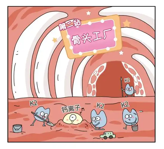 d 会去小肠促进小肠更好地吸收钙离子有利于新骨生成和钙化图片来源