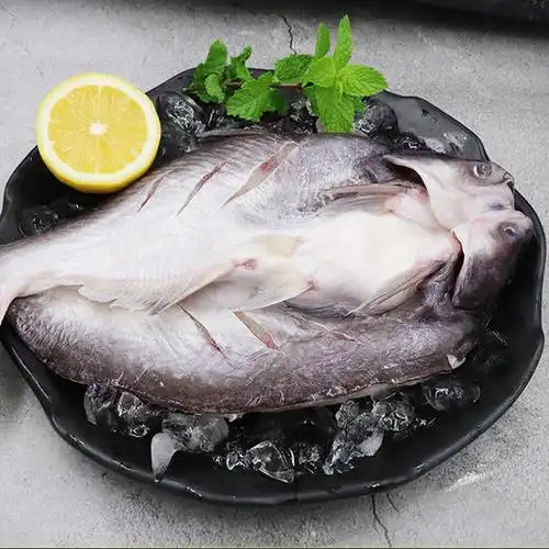 开背巴沙鱼600700g条2条