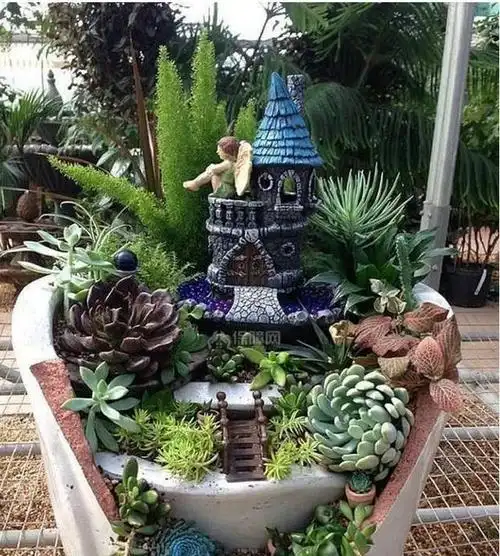 路边捡的烂水缸,回家种上花!花盆"酷爆了"花友出多少都不给卖