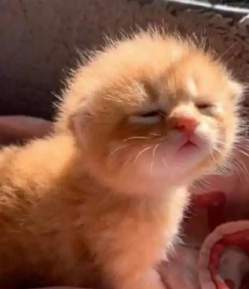 这不就是我睡醒的样子