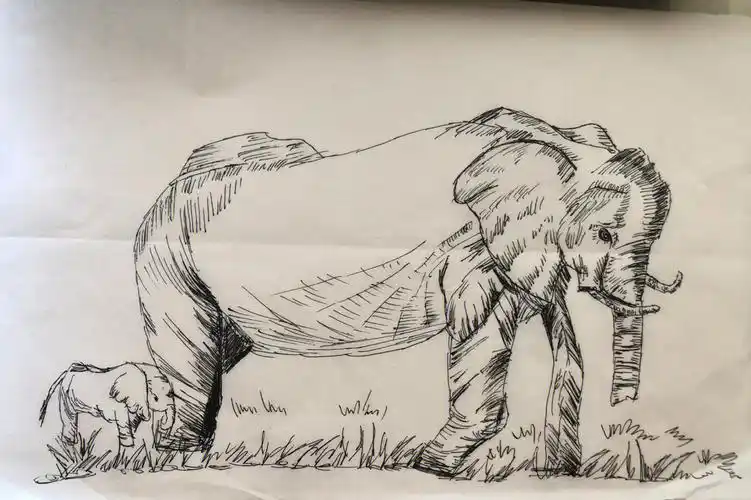 速写大象