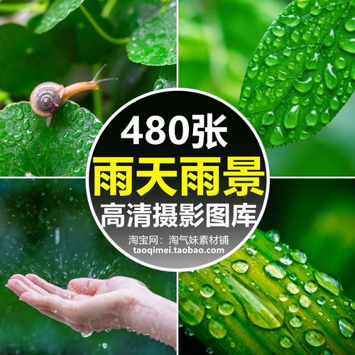 高清jpg雨景图片阴雨天气雨水大雨暴雨雨季雨后下雨场景摄影素材