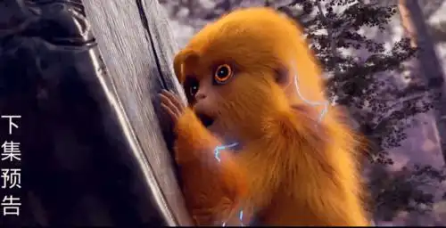 原创完美世界大荒被毁女主现身石昊毛球成表情包