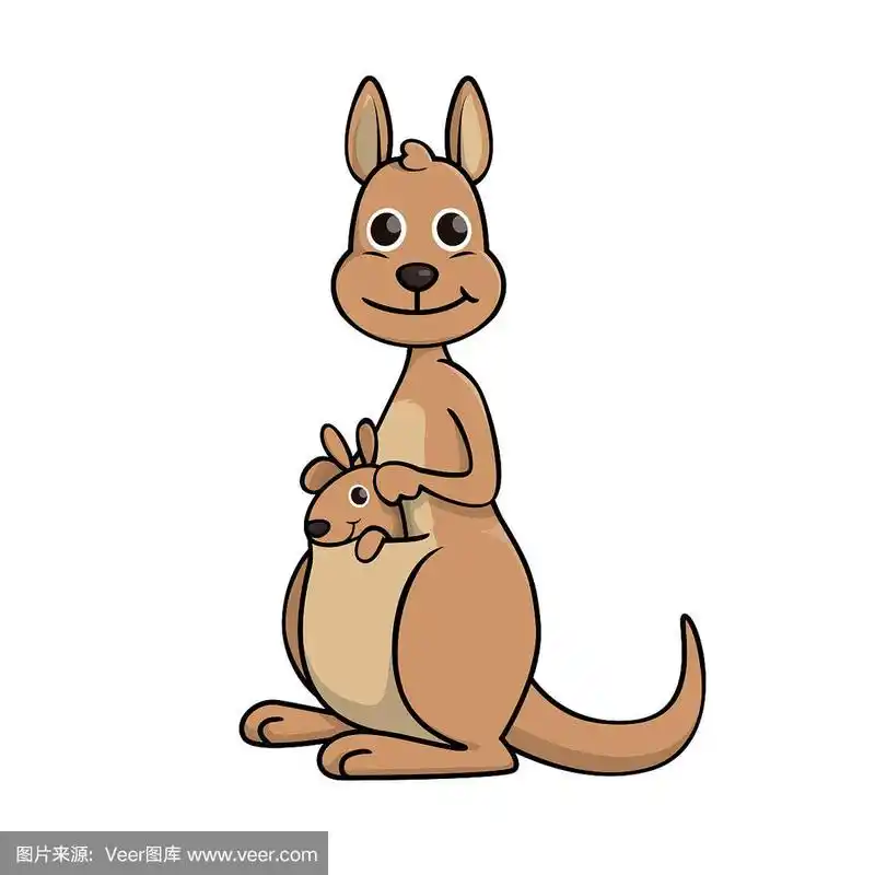 矢量插图的袋鼠孤立在白色的背景.