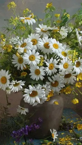 洋甘菊,鲜花,花束,花瓶