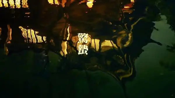 节气惊蛰,在《东邪西毒》里怎么就变味了?