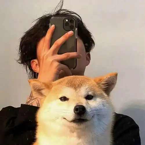 分享一波狗子头像