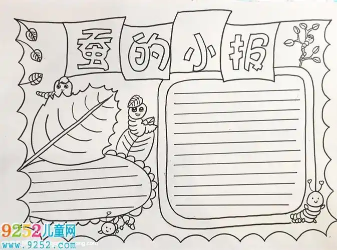 没有人的一张手抄报 蚕的一生手抄报