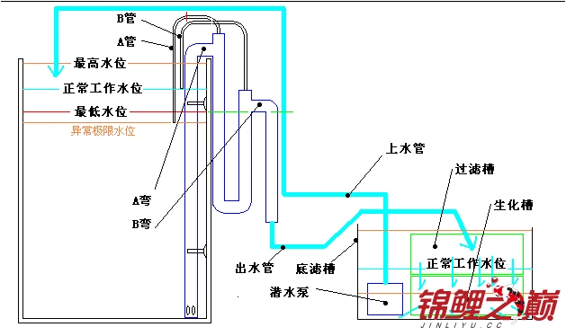 不开孔底滤/停电自动停/来电自动开始/虹吸管 - 第13页 - 鱼缸鱼池