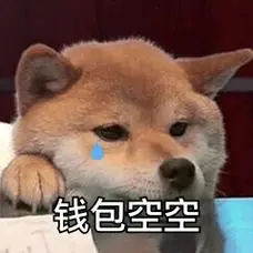 支空空空空表情图搞笑图片表情