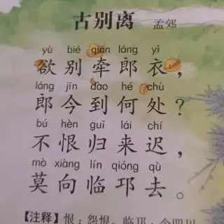 古诗《古别离》孟郊