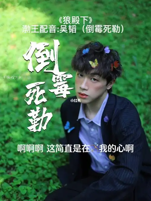 狼殿下渤王配音吴韬倒霉死勒