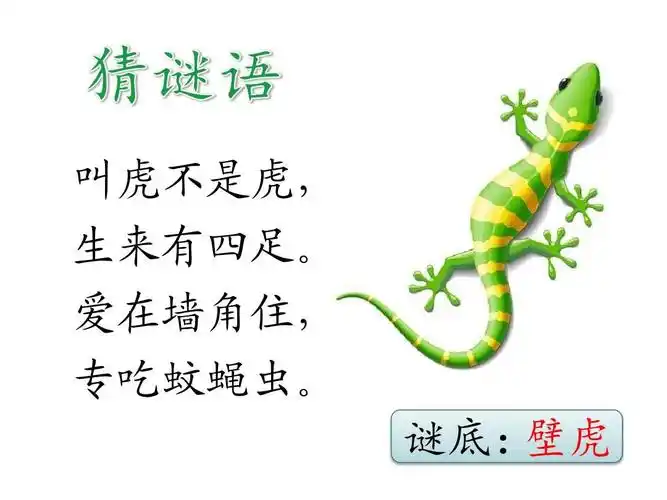 2017新人教版小学语文一年级下册《小壁虎借尾巴》ppt课件